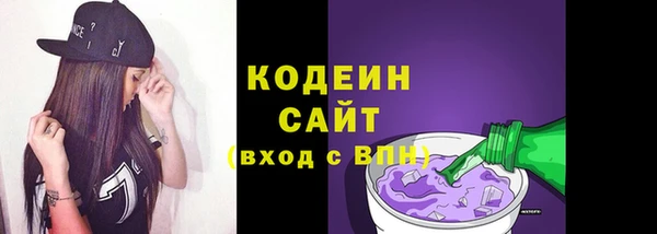 дмт Ельня