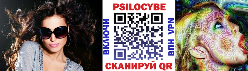Псилоцибиновые грибы Psilocybe Вуктыл