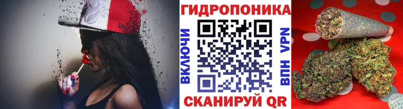 что такое   Вуктыл  кракен tor  Каннабис Ganja 